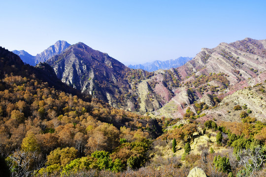 山景