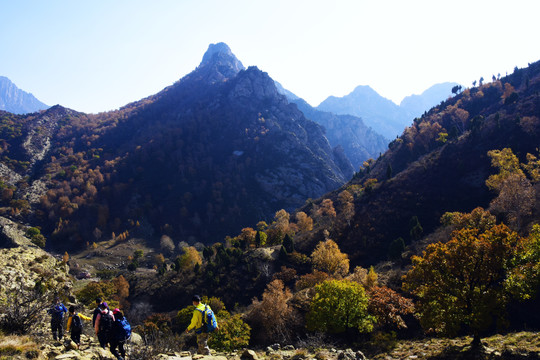 山景