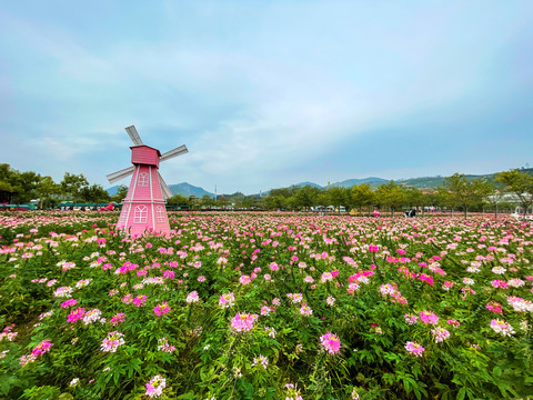 花海生态园