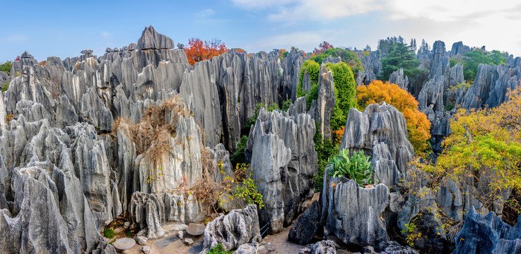 中国云南昆明石林风景区