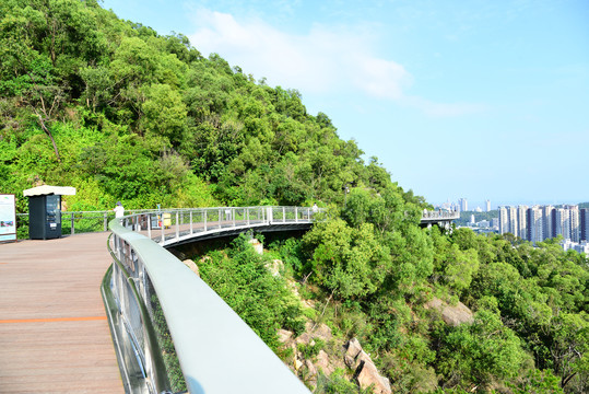 珠海板障山景山道