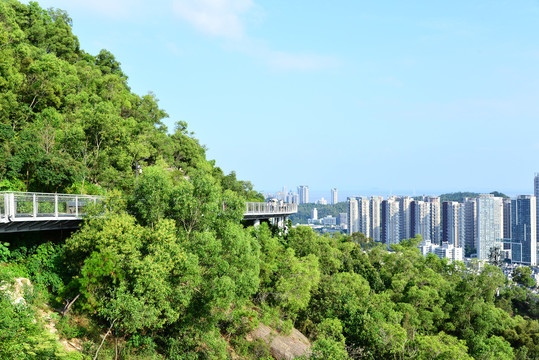 珠海景山道城市风光