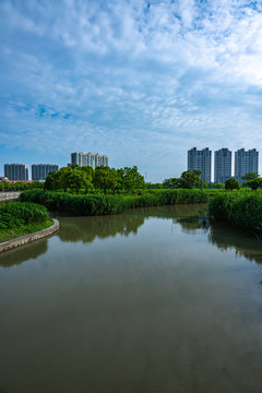 上海嘉定南翔留云湖湿地公园