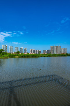 上海嘉定南翔留云湖湿地公园