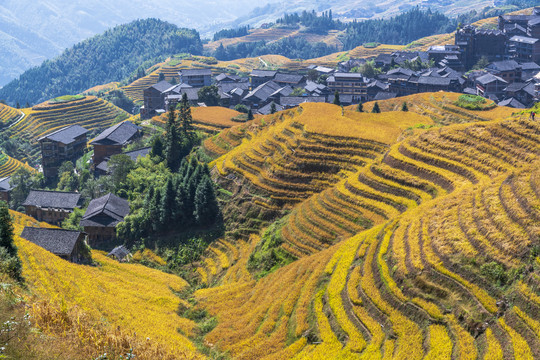 龙胜梯田风光