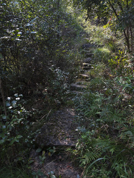 三峡古石梯步道