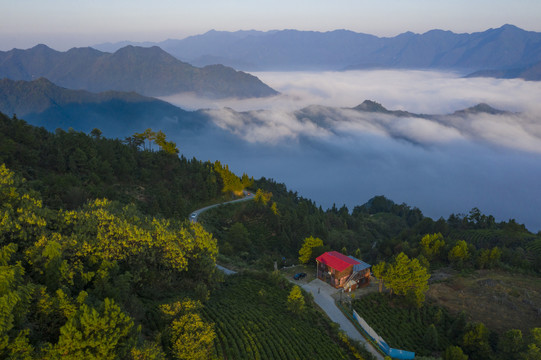 高山白云云海云雾安徽牯牛降景区