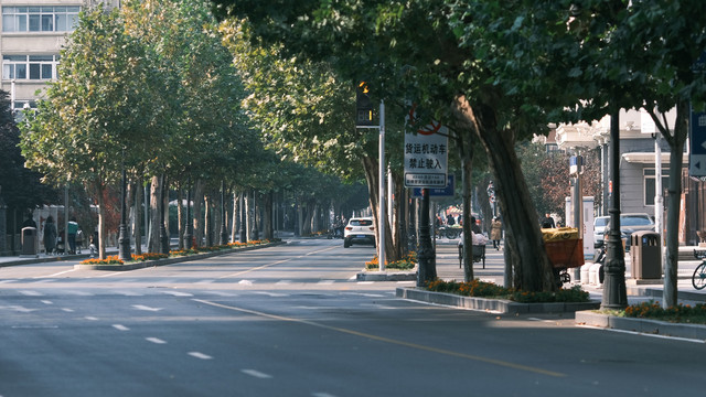 天津街头秋季美景