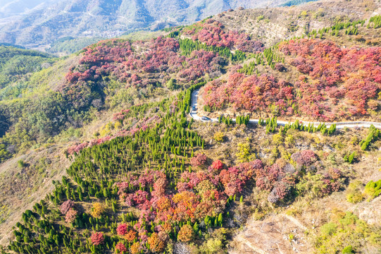 航拍济南章丘莲花山红叶