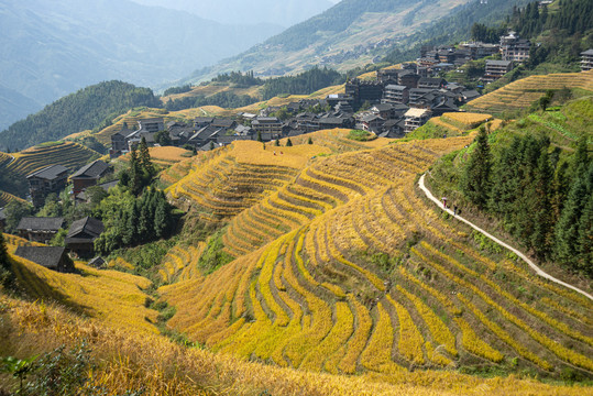 桂林龙胜梯田