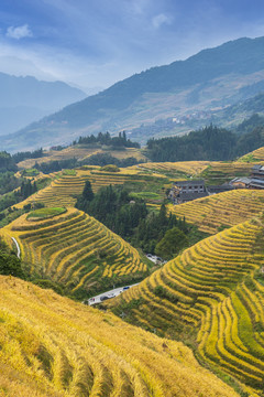 龙胜梯田风光