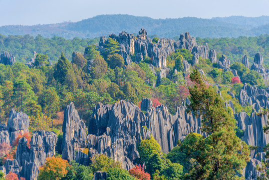 中国云南昆明石林风景区