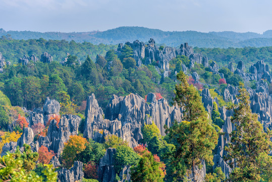 中国云南昆明石林风景区