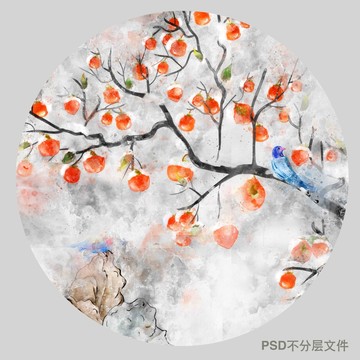水彩柿子花鸟壁画