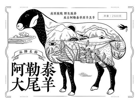 新疆阿勒泰大尾羊礼盒包装插画