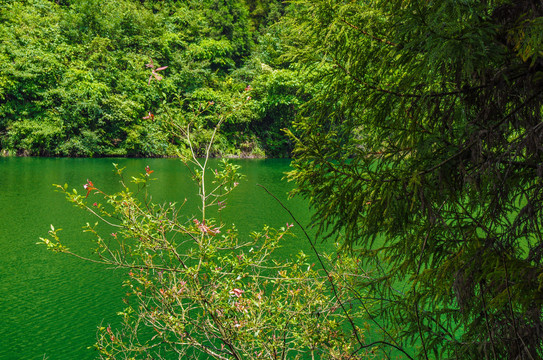 宁波达蓬山九龙湖