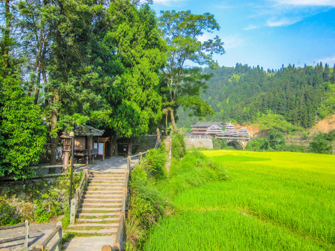 中国广西壮族自治区梯田风光