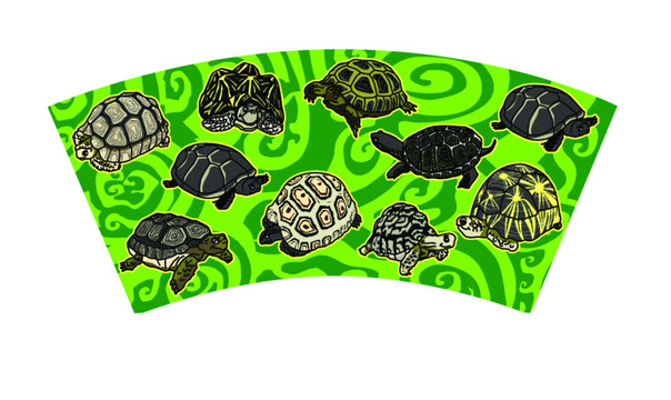 陶瓷杯子动物乌龟设计图案