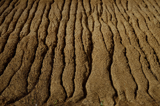 雨水冲刷的黄土坡面