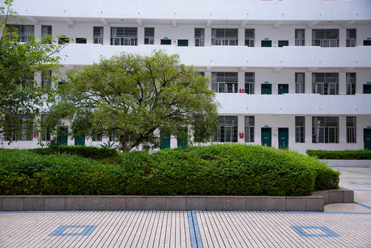 校园景色