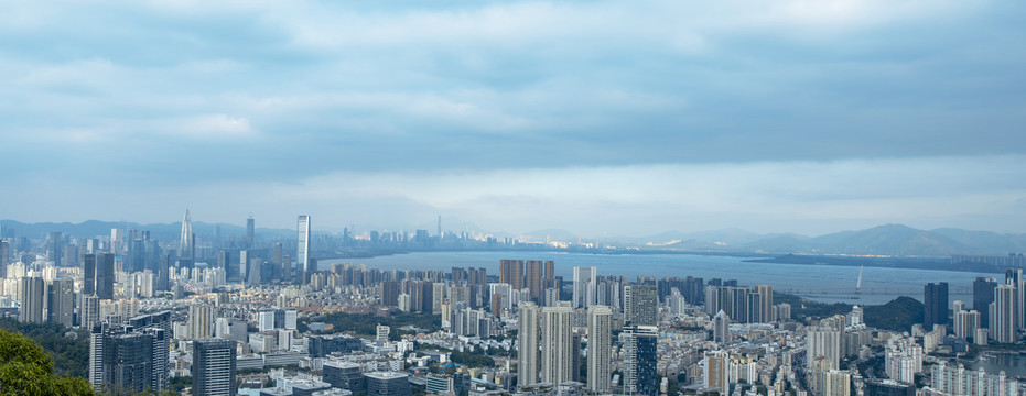 壮丽的深圳湾建筑群