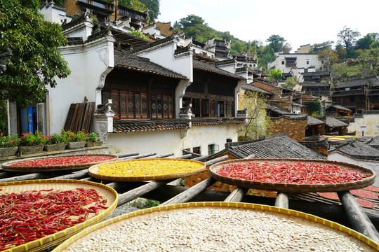 婺源篁岭徽派建筑晒秋人家景色