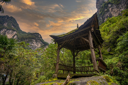 高山景观