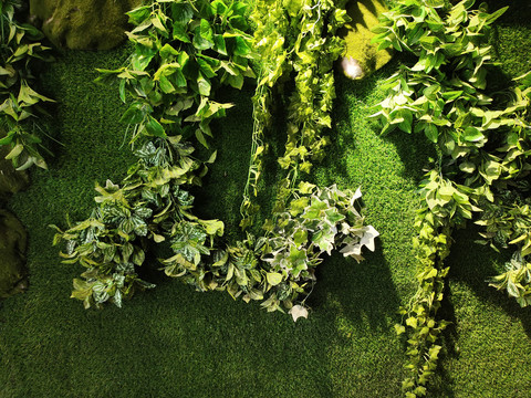 绿植墙