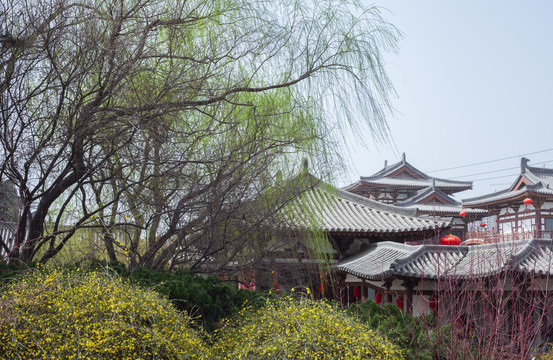 西安青龙寺