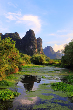 小河风光