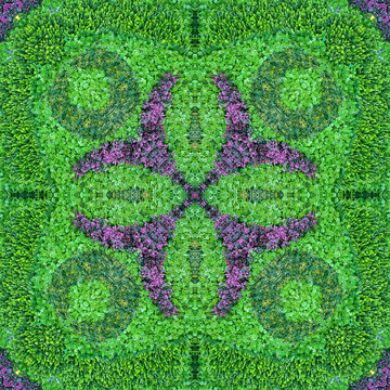 绿植墙
