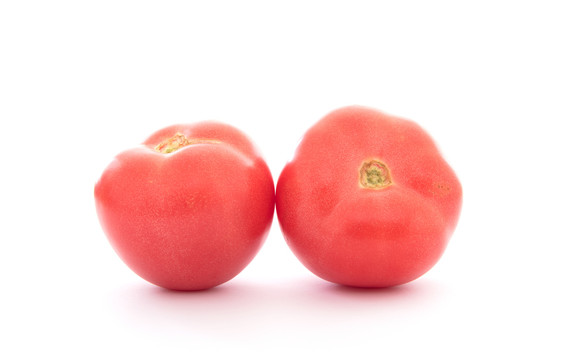 白背景上三个新鲜的西红柿