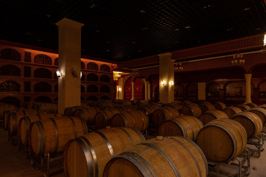 红酒酒窖