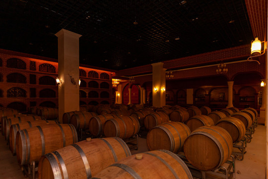 红酒酒窖