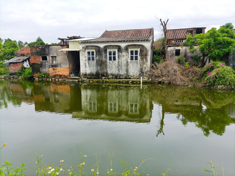 水塘景色