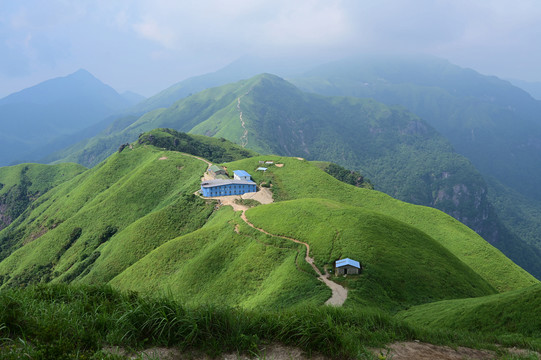 江西武功山的高山草甸