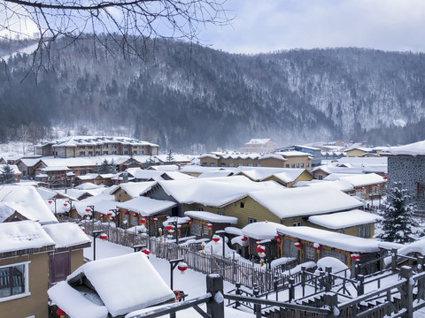 雪景