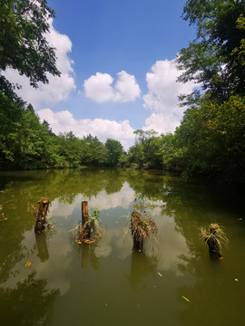 西溪湿地风景区