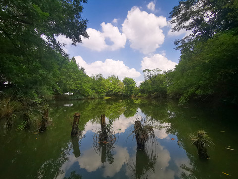 西溪湿地风景区