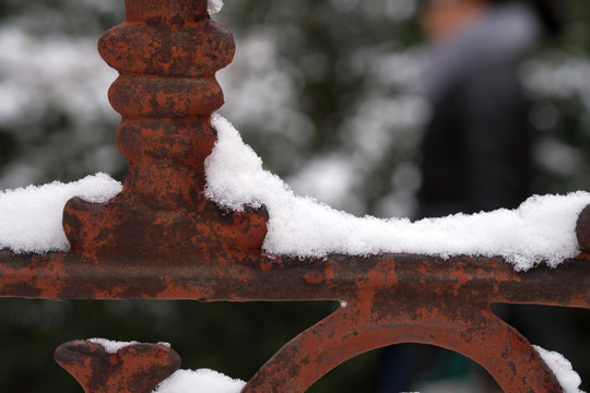 金属栅栏上堆积着洁净的白雪