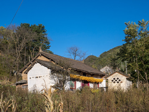 秦岭人家