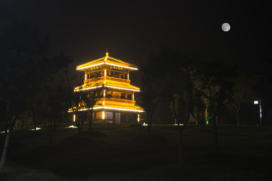 松滋稻谷溪湿地公园夜景