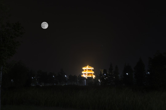 松滋稻谷溪湿地公园夜景