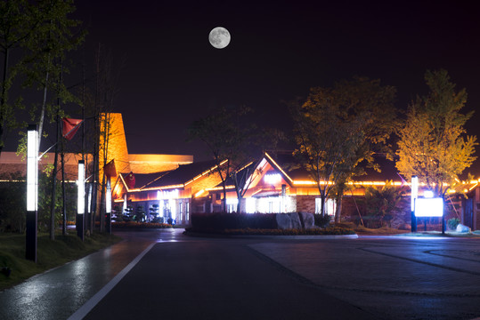 松滋稻谷溪湿地公园夜景