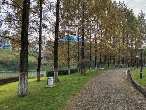 健康步道