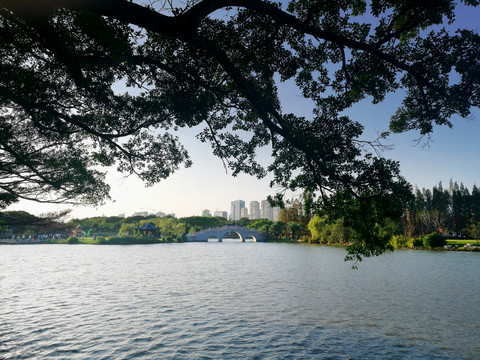 江心屿湖景