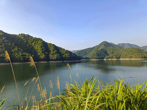 水库秋景