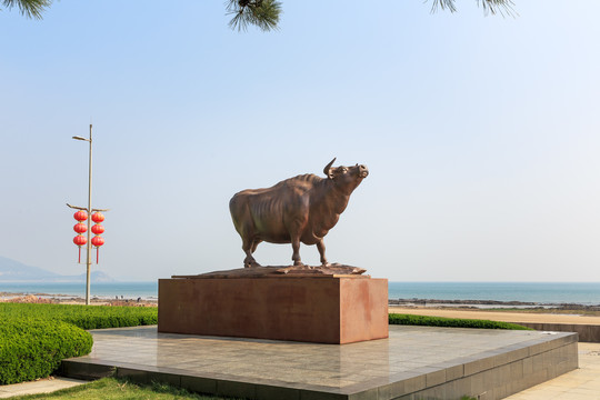 青岛雕塑园铜牛