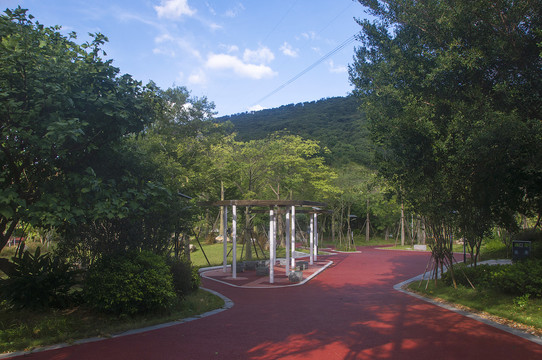 八尺岭公园步道绿化风景