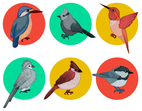多种鸟类创意设计插图